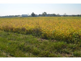 Property photo 22 - REAL ESTATE AUCTION - 604+/- ACRES IN 14 TRACTS IN MERCER CO., OHIO